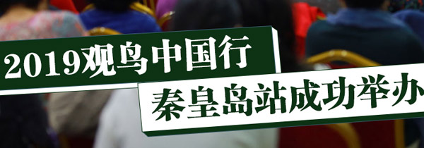 2019观鸟中国行 秦皇岛站成功举办